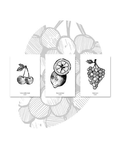 Cartes "Trio Fruits"