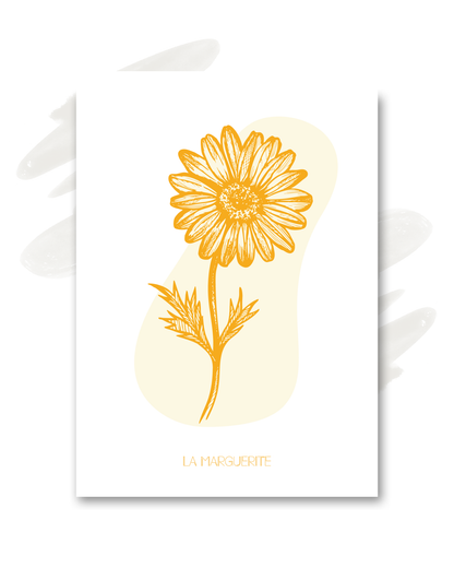 Carte "La marguerite"