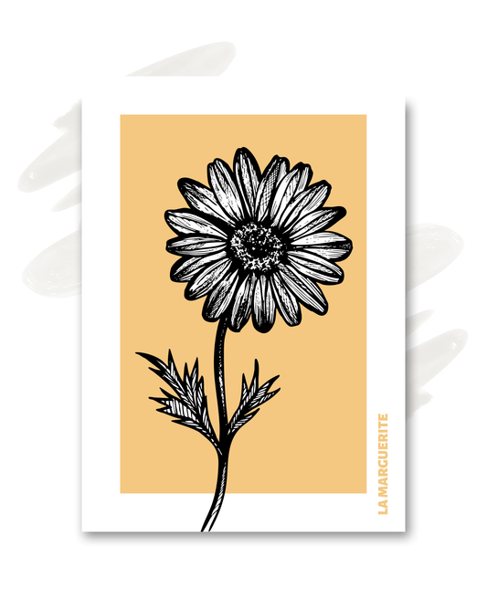 Carte "La marguerite"