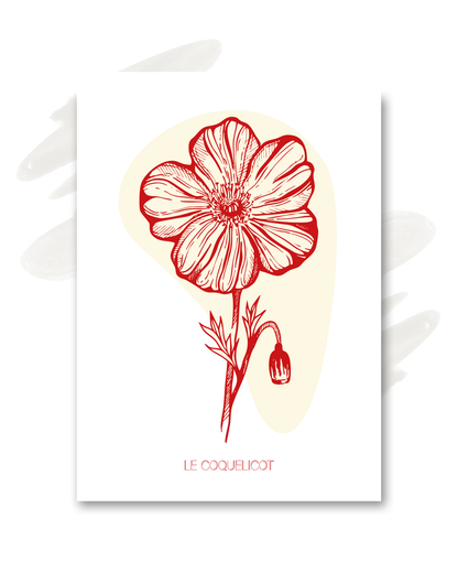 Carte "Le coquelicot"
