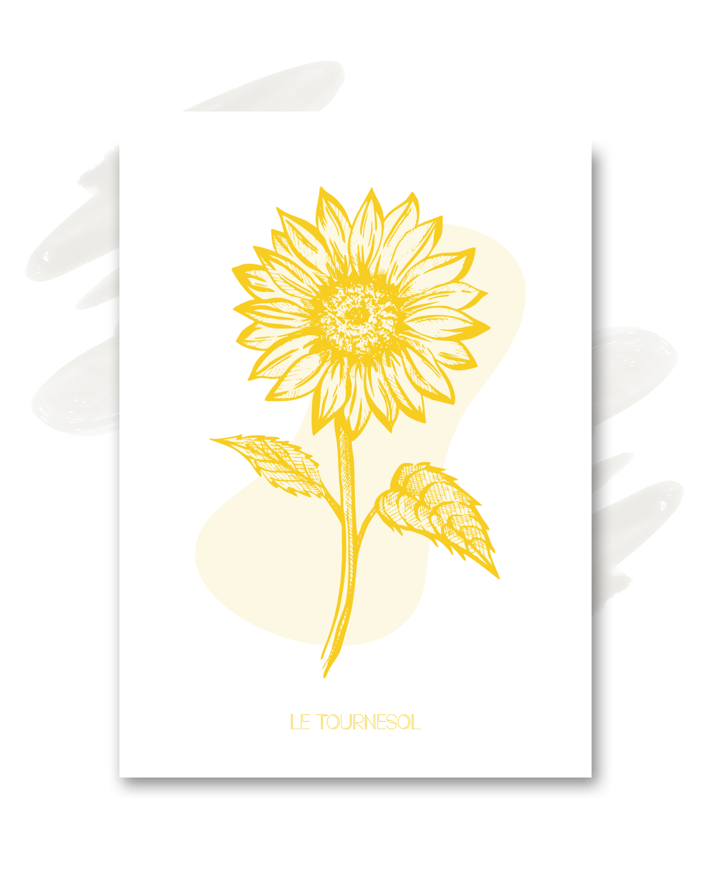 Carte "Le tournesol"