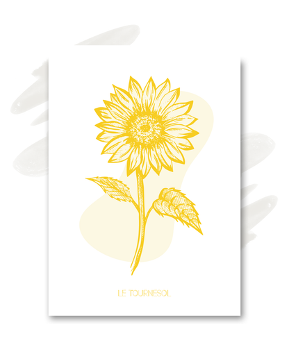 Carte "Le tournesol"